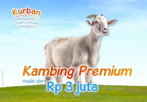 Kurban untuk Anak Yatim Indonesia