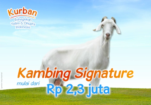 Kurban untuk Anak Yatim Indonesia