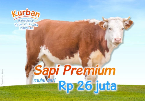 Kurban untuk Anak Yatim Indonesia